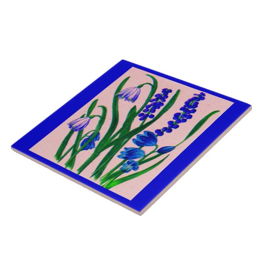 Carreau drêches à neige et scilla (Côté)