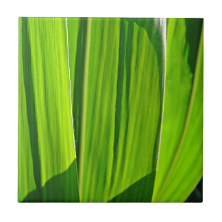 Carreau Drei grüne Maisblätter