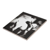 Carreau Dressage (Côté)