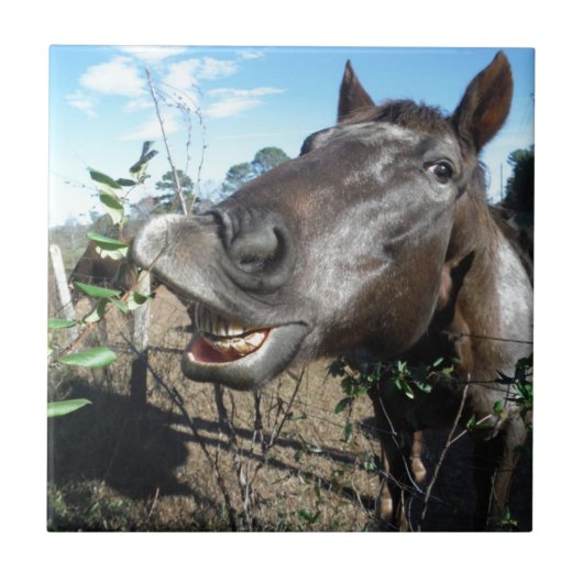 Carreau Drôle Cheval brun visage (Devant)