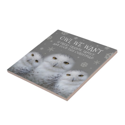 Carreau Drôle Chouette que nous voulons pour Noël ... Chou (Côté)