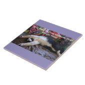 Carreau Drôle Tuxedo Cat Cute faire un aimant de vague mex (Côté)