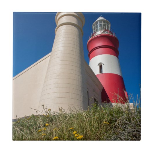 CARREAU _DSC2418 (Devant)