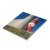 CARREAU _DSC2418 (Côté)