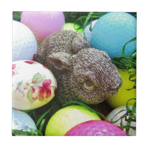 CARREAU DSCF0438.JPG