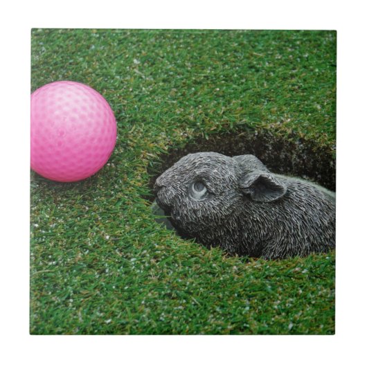 CARREAU DSCF0652.JPG (Devant)