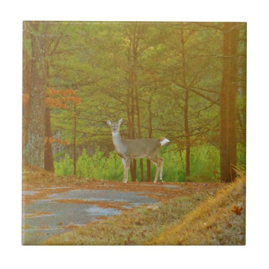 CARREAU DSCF4041.JPG (Devant)