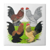 Carreau D'Uccles quatre coqs (Devant)