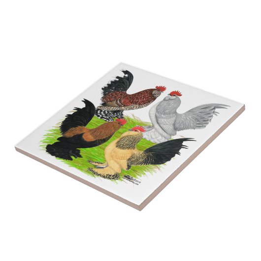 Carreau D'Uccles quatre coqs (Côté)