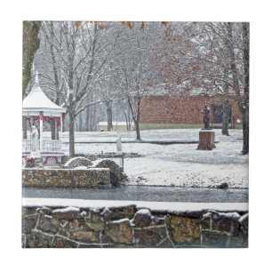 Carreau Duck Pond à Ste. Marie Du Lac