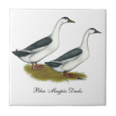 Carreau Ducks : Blue Magpies (Devant)