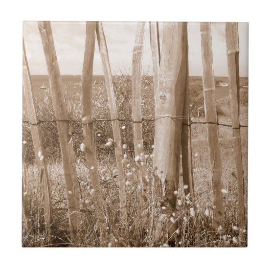 Carreau dune (Devant)