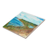 Carreau Dunes de l'ours de sommeil Lakeshore Michigan Beac (Côté)