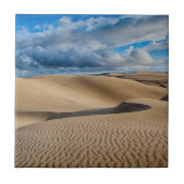 Carreau Dunes infinies (Devant)