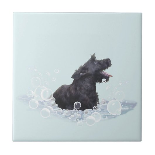 Carreau Durée du bain (Devant)