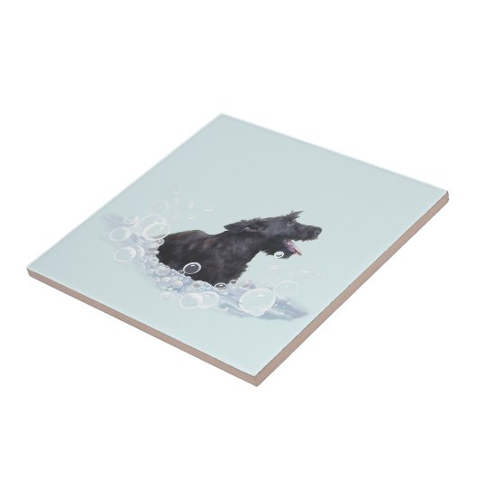 Carreau Durée du bain (Côté)