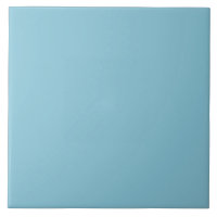 Dusty Blue Light Powder 2015 Color Trend Modèle