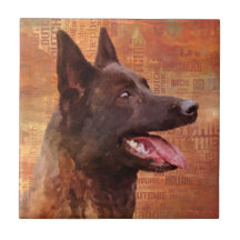 Dutch Shepherd - Illustration utchie