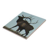 Carreau E14 Chaussures en silhouette d'Elc taureau sur l'h (Côté)