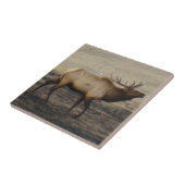 Carreau E40 Brouillages d'élans (Côté)