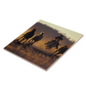 Carreau É.-U., États-Unis, Oregon, Seneca, Ponderosa Ranch (Côté)