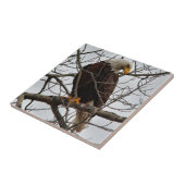 Carreau Eagle chauve (Côté)