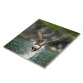 Carreau Eagle chauve le grand crochet (Côté)