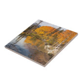 Carreau Eastern Sierra, Bishop Creek, California Outlet (Côté)