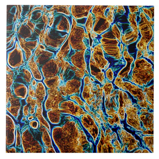 CARREAU EAU (Devant)