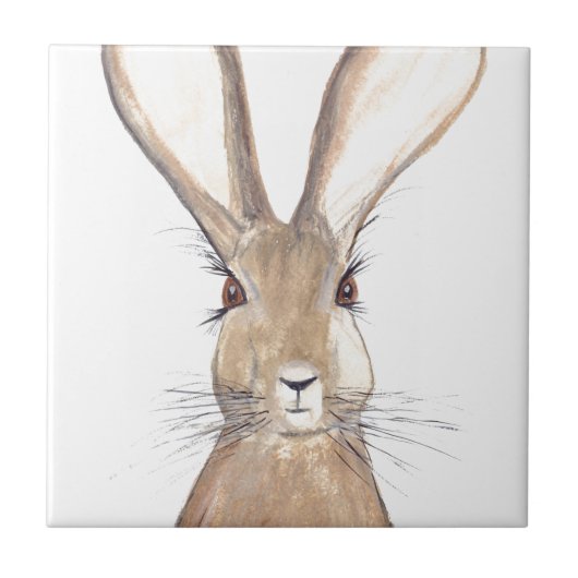 Carreau Eau de lièvre rustique Cuisine lapin animal (Devant)