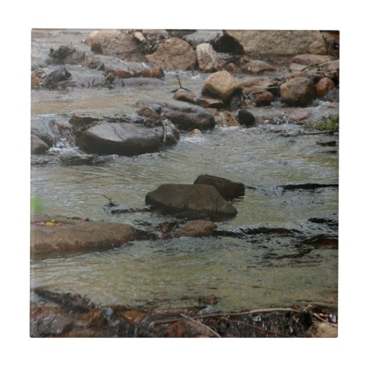 Carreau Eau de rivière (Devant)