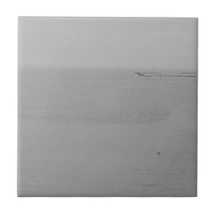 Carreau Eau gazeuse grise avec mouette