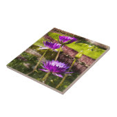 Carreau Eau Lily Pond (Côté)