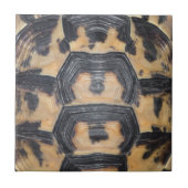 Carreau Écaille de tortue (Devant)