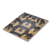 Carreau Écaille de tortue (Côté)