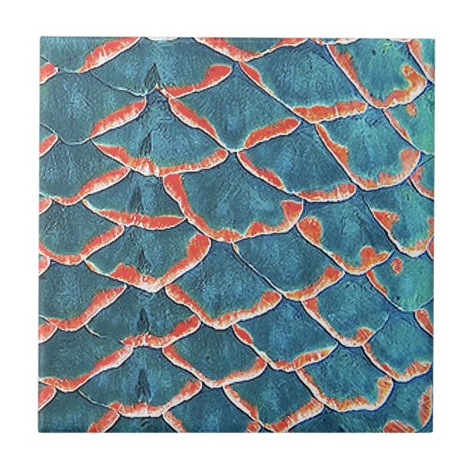 Carreau Échelles de poissons (Devant)