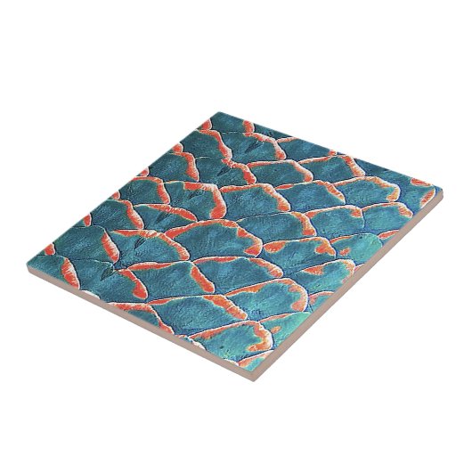 Carreau "Échelles de poissons " (Côté)