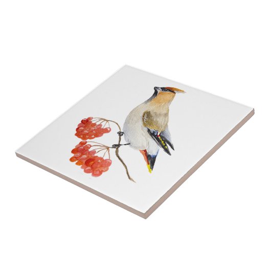 Carreau Écirage d'oiseaux de la forêt d'aquarelle (Côté)