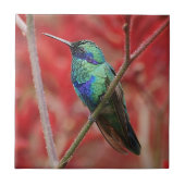 Carreau Éclat iridescent (Devant)