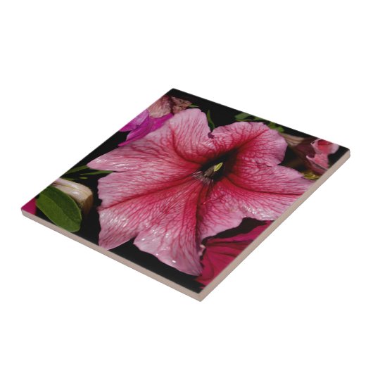 Carreau Éclosion florale (Côté)