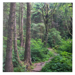 Carreau Ecola State Park, Cannon Beach, Oregon