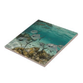 Carreau École de permis de pêche (Côté)