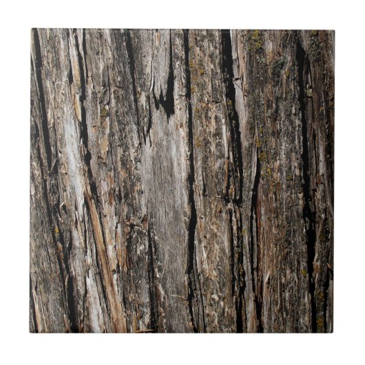Carreau Écorce d'arbre (Devant)