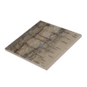 Carreau Écorce d'arbre de bouleau (Côté)