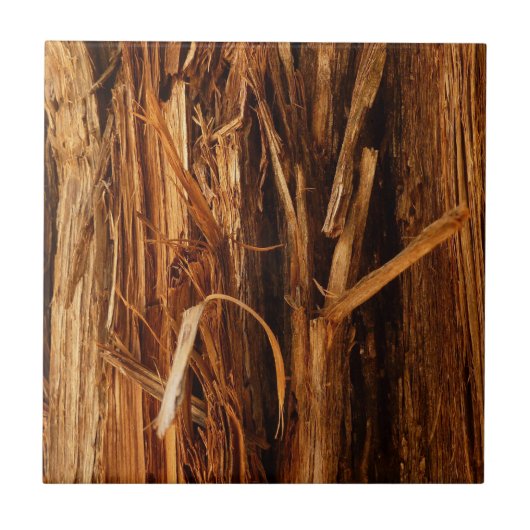 Carreau Écorce de bois texturée de cèdre (Devant)