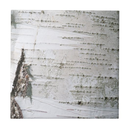 Carreau Écorce de bouleau (Devant)