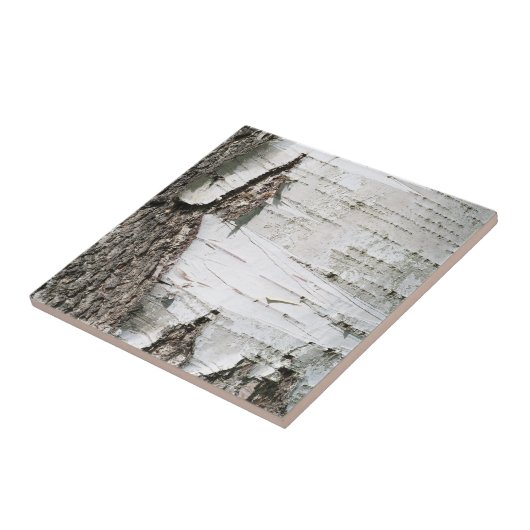 Carreau Écorce de bouleau (Côté)