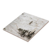 Carreau écorce de bouleau 2330 (Côté)