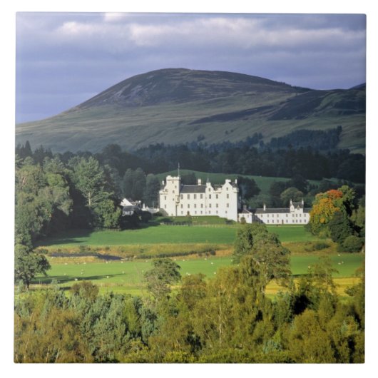 Carreau Écosse, Tayside, château de Blair. Dans un champ é (Devant)