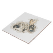 Carreau Écran au crayon de lapin vintage (Côté)